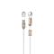 Кабель зарядки USB WK Cable to microUSB/Lightning 2-in-1 WKC-001
